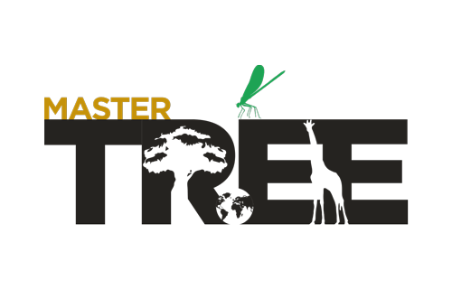 Logo Master TREE