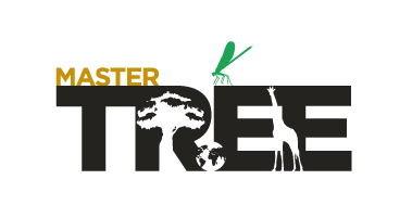 Logo Master TREE